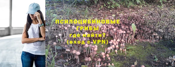 не бодяженный Алзамай