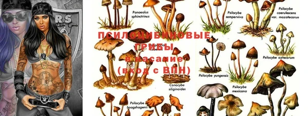 не бодяженный Алзамай