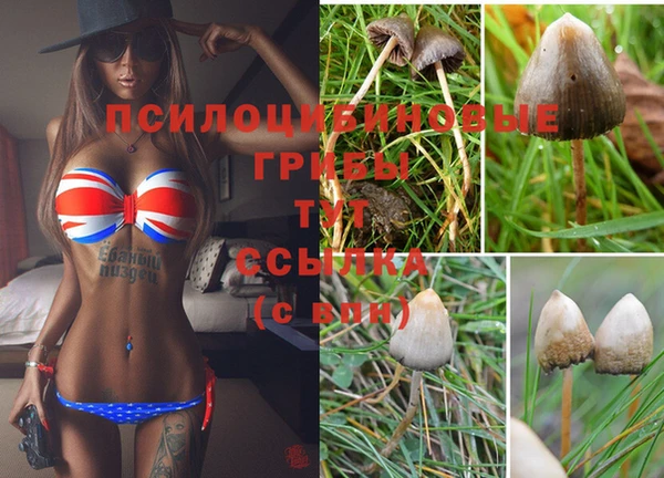 не бодяженный Алзамай