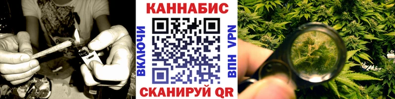 купить  цена  Данков  Бошки марихуана планчик 